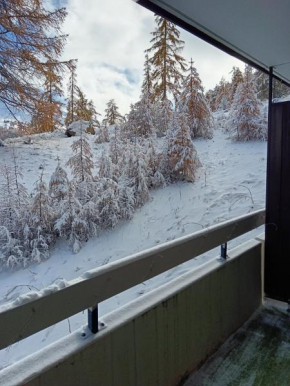 STUDIO le FOREST SKIS AUX PIEDS